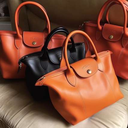 How to Clean Leather Longchamp Bags