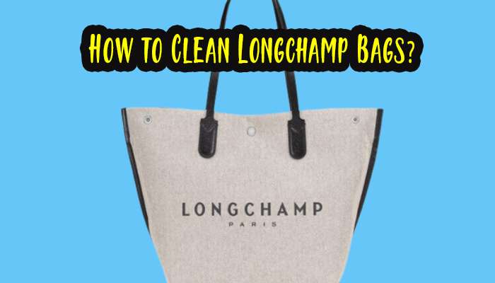 How to Clean Longchamp Bags?