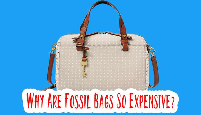 Why Are Fossil Bags So Expensive?